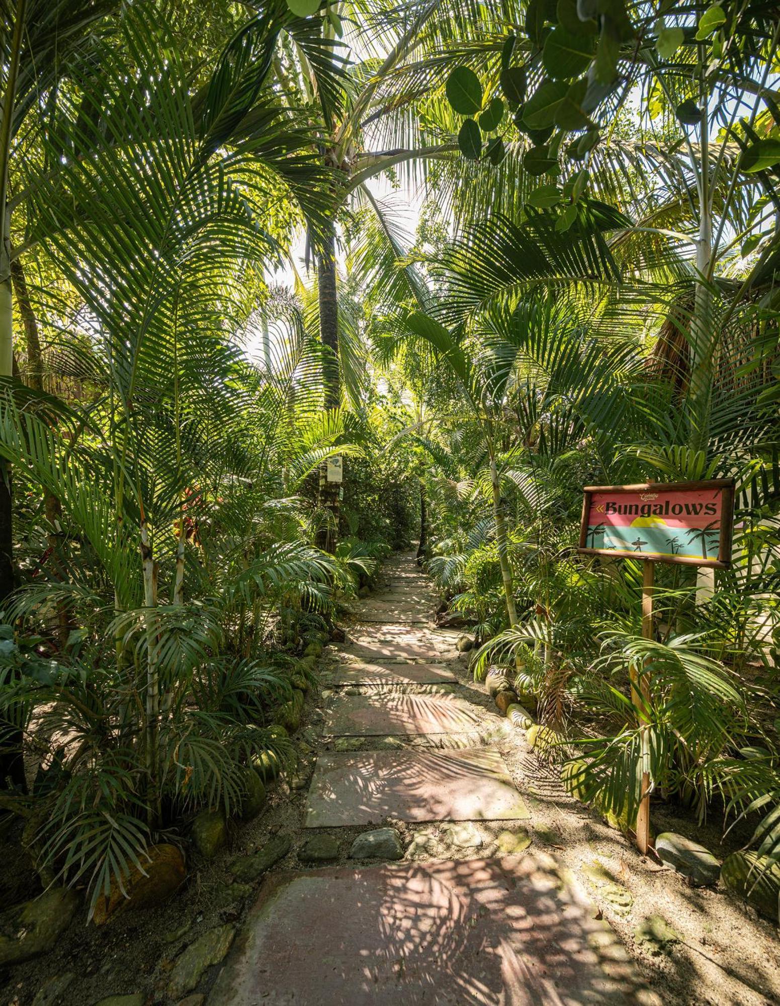 Hotel Costeno Beach à Santa Marta  Extérieur photo